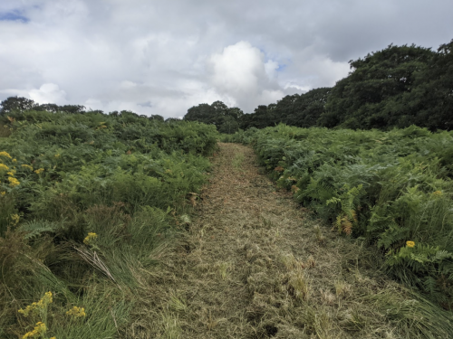 Messy hill in a race