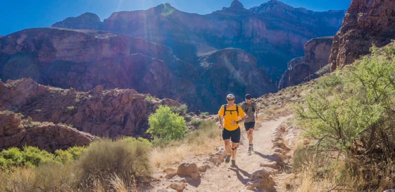 Descubre los mejores consejos para organizar con éxito una carrera Backyard Ultra. Evite errores comunes, conozca las funciones esenciales y planifique eficazmente un evento memorable. Obtenga información de organizadores experimentados y asegúrese de que la carrera rebose alegría y éxito. ¡Empieza a planear tu aventura Backyard Ultra hoy mismo!